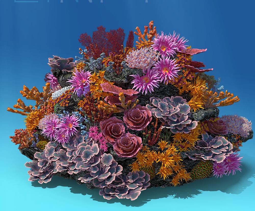 Coral reef