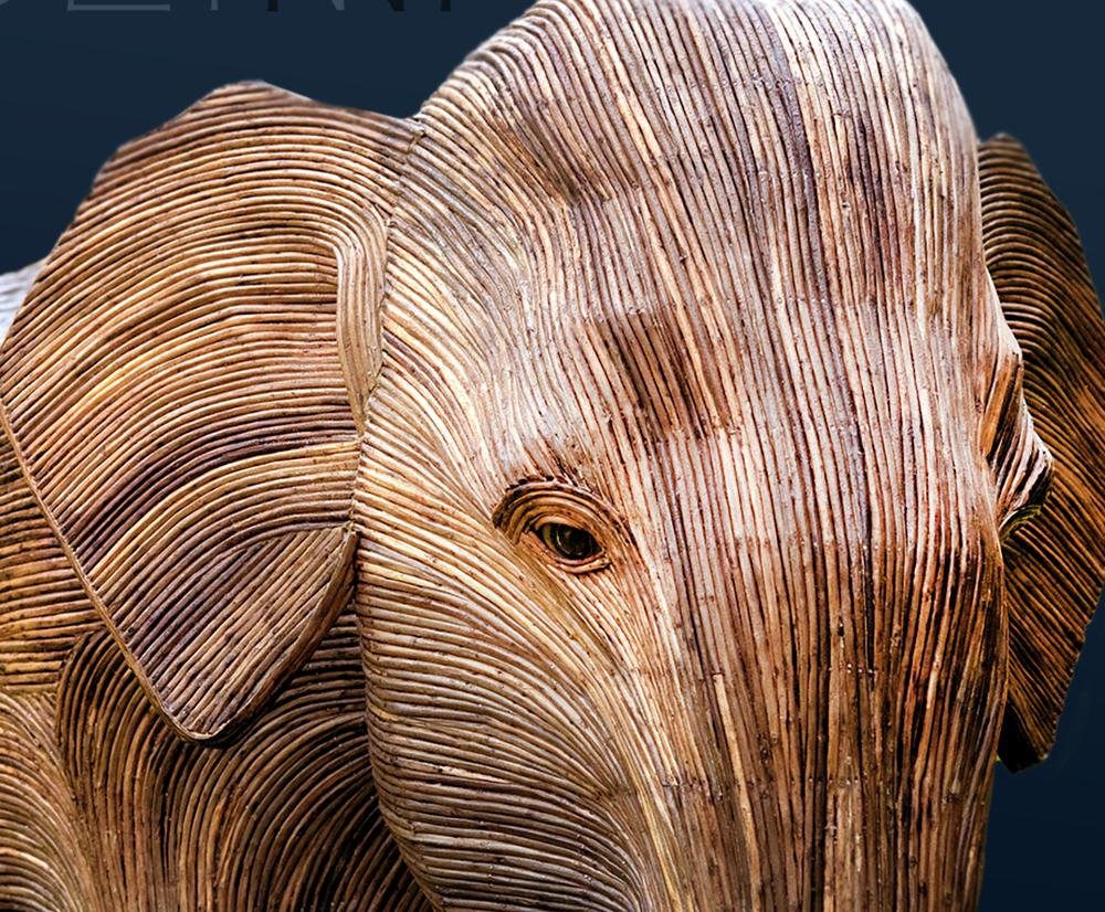 Asian elephant, detail